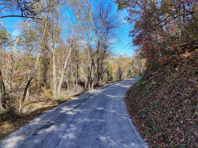 2.24 AC Lower Star Creek Road, Morganton, GA 30560