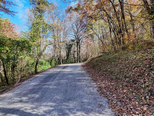 2.24 AC Lower Star Creek Road, Morganton, GA 30560