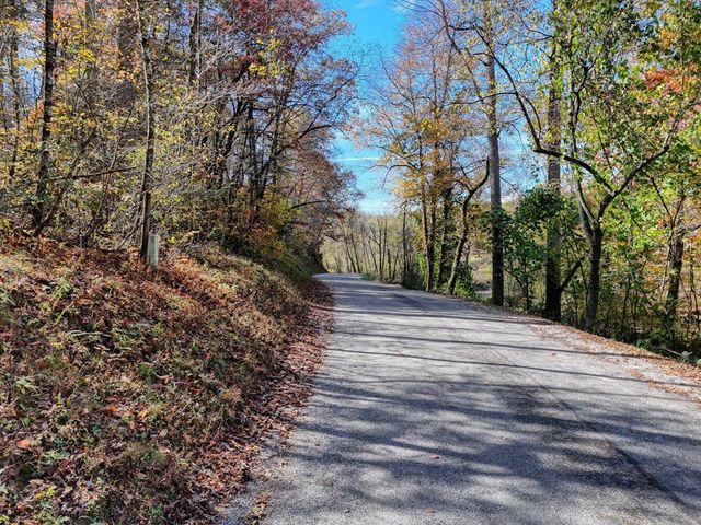 2.24 AC Lower Star Creek Road, Morganton, GA 30560