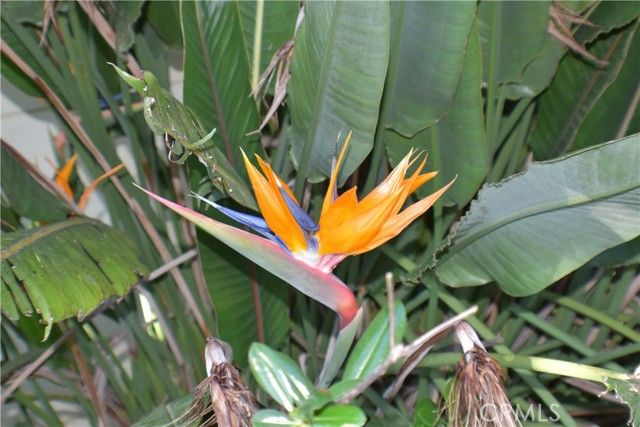 18 Oak Hill, Oroville, CA 95966