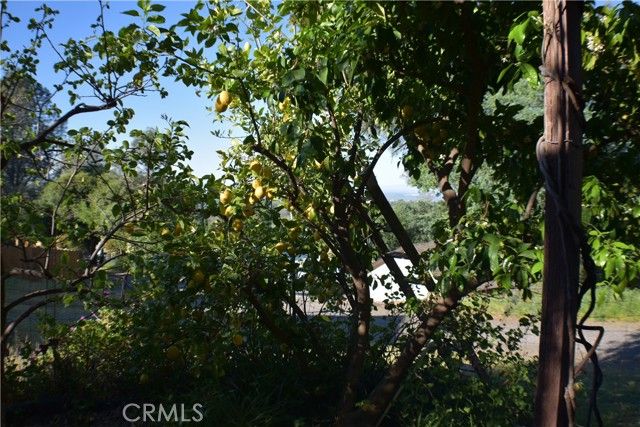 18 Oak Hill, Oroville, CA 95966