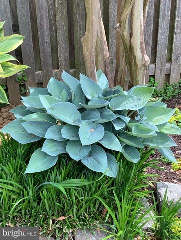 1201 ALLENDALE RD, Mclean, VA 22101