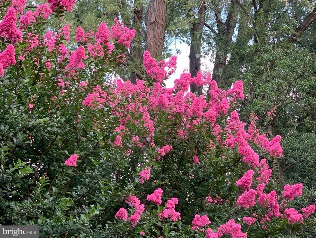 1201 ALLENDALE RD, Mclean, VA 22101