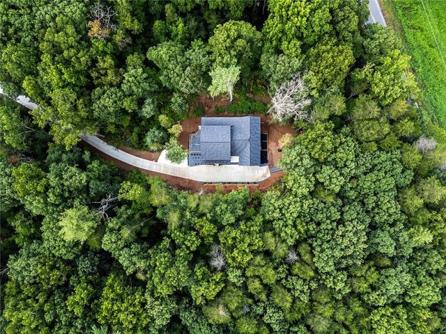 336 FRANCES DR, Ellijay, GA 30536
