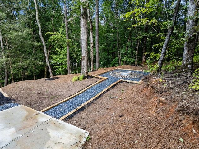 336 FRANCES DR, Ellijay, GA 30536