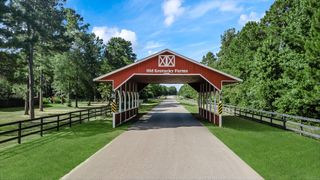 11200 Kentucky Oaks Rd, Conroe, TX 77304