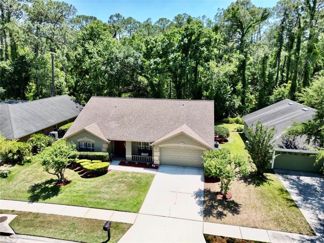 3350 LAURELWOOD COURT, Tarpon Springs, FL 34688