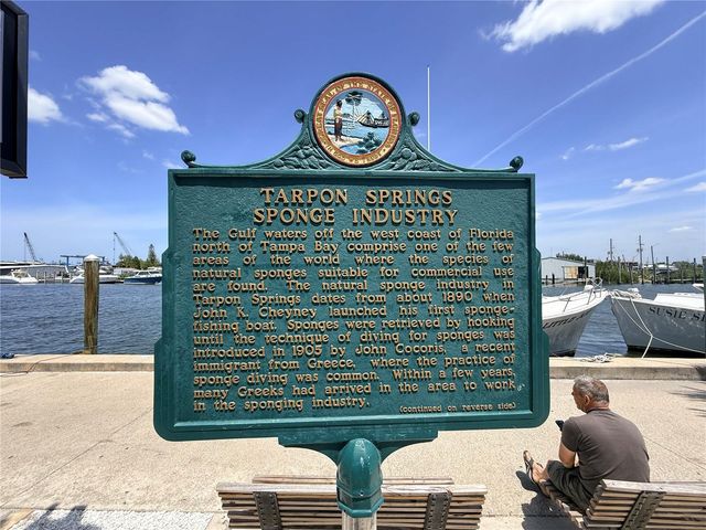 3350 LAURELWOOD COURT, Tarpon Springs, FL 34688