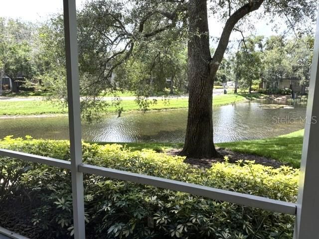 4211 CHATHAM OAK COURT 102, Tampa, FL 33624