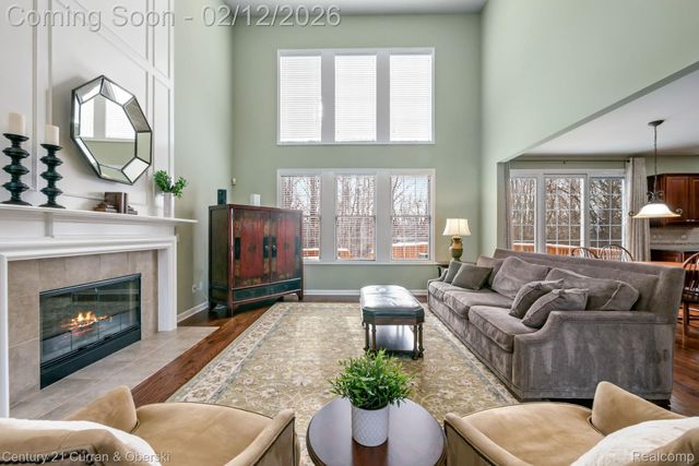 16169 Johnson Creek Drive, Northville Township, MI 48168