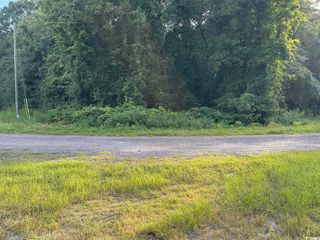 TBD Griffins Landing Rd., Nichols, SC 29581