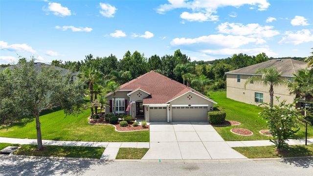 10839 BREAKING ROCKS DRIVE, Tampa, FL 33647
