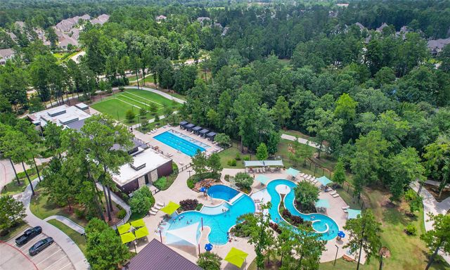 301 Snow Goose Court, Willis, TX 77318