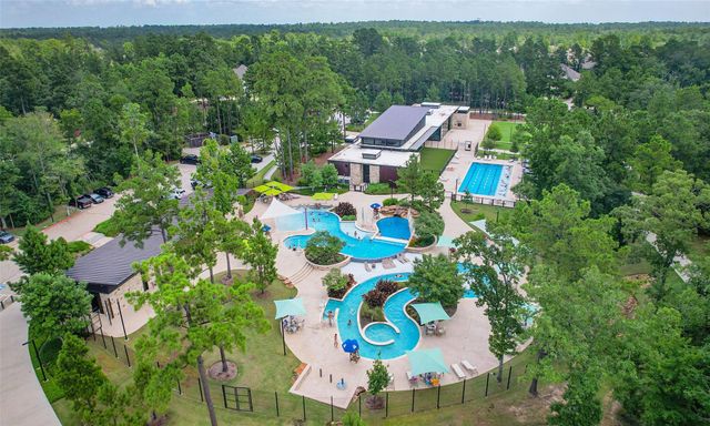301 Snow Goose Court, Willis, TX 77318