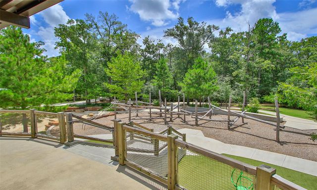 301 Snow Goose Court, Willis, TX 77318