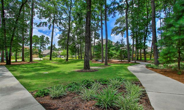 301 Snow Goose Court, Willis, TX 77318