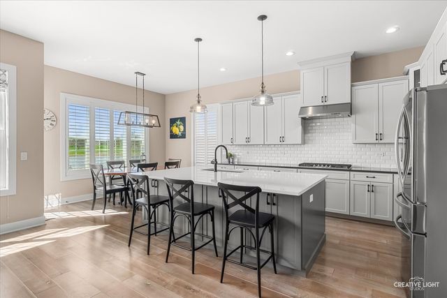 3556 Crosswater Court, Elgin, IL 60124