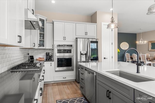 3556 Crosswater Court, Elgin, IL 60124