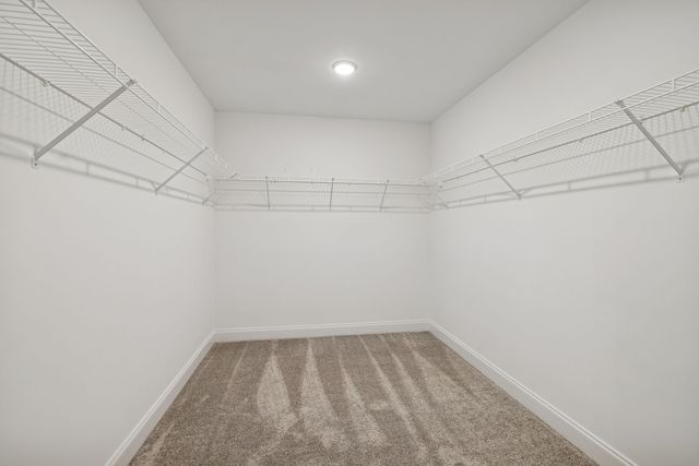 3015 Fernwood Ln, Columbia, TN 38401