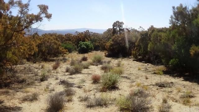 37245 Old Forest Road, Anza, CA 92539