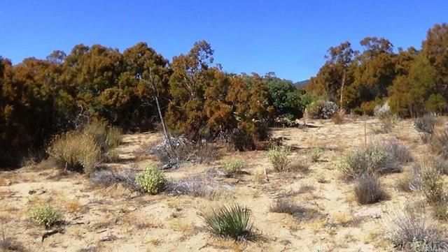 37245 Old Forest Road, Anza, CA 92539