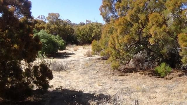 37245 Old Forest Road, Anza, CA 92539