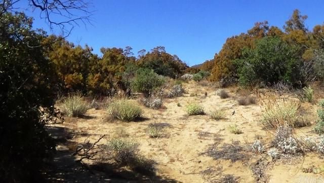 37245 Old Forest Road, Anza, CA 92539