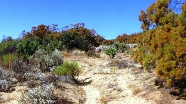 37245 Old Forest Road, Anza, CA 92539