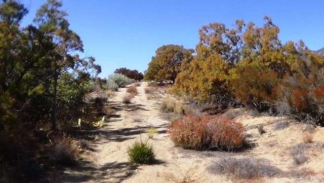 37245 Old Forest Road, Anza, CA 92539