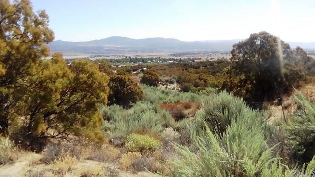 37245 Old Forest Road, Anza, CA 92539