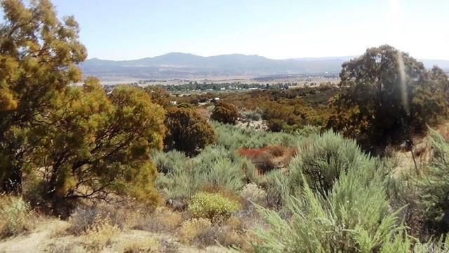 37245 Old Forest Road, Anza, CA 92539