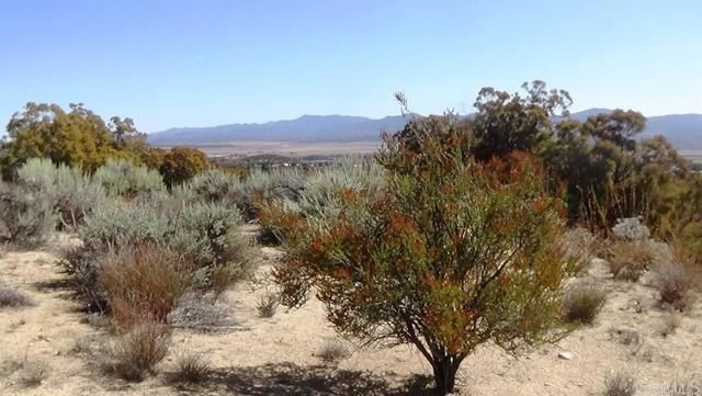 37245 Old Forest Road, Anza, CA 92539