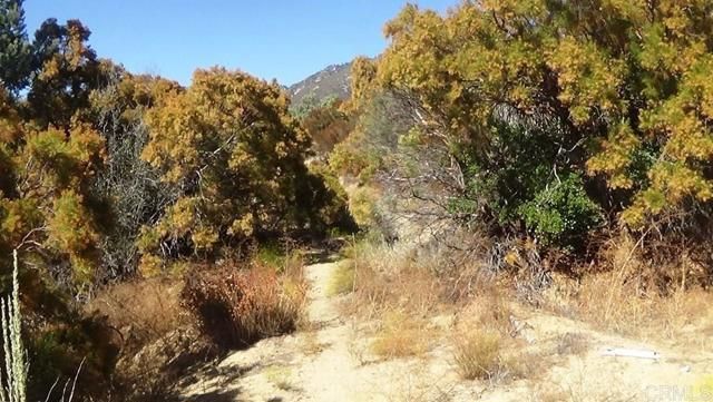 37245 Old Forest Road, Anza, CA 92539