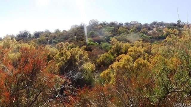 37245 Old Forest Road, Anza, CA 92539