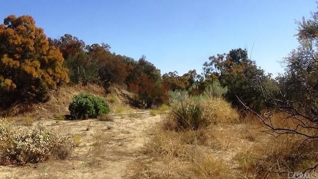 37245 Old Forest Road, Anza, CA 92539