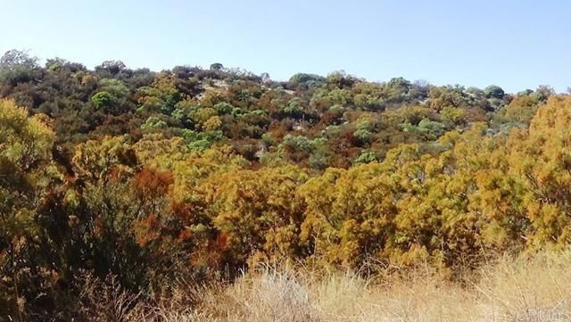 37245 Old Forest Road, Anza, CA 92539