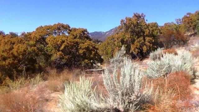 37245 Old Forest Road, Anza, CA 92539