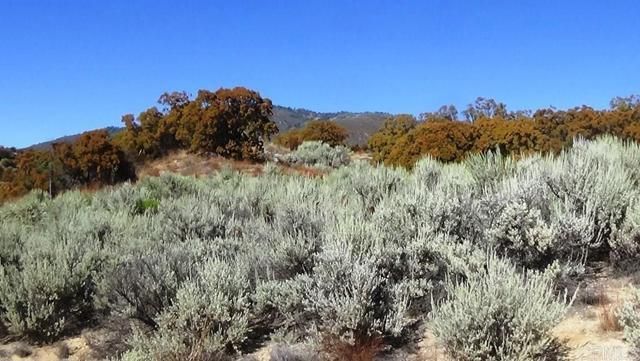 37245 Old Forest Road, Anza, CA 92539