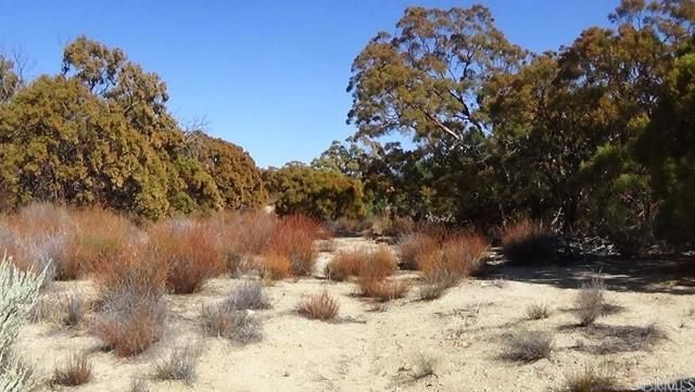 37245 Old Forest Road, Anza, CA 92539