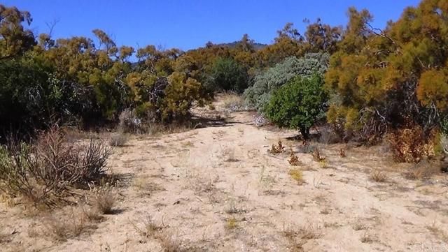 37245 Old Forest Road, Anza, CA 92539