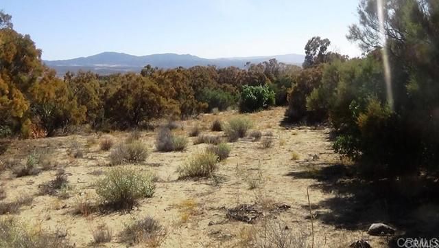 37245 Old Forest Road, Anza, CA 92539