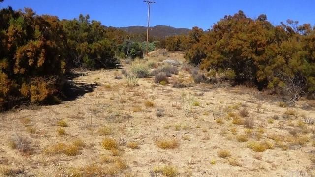 37245 Old Forest Road, Anza, CA 92539