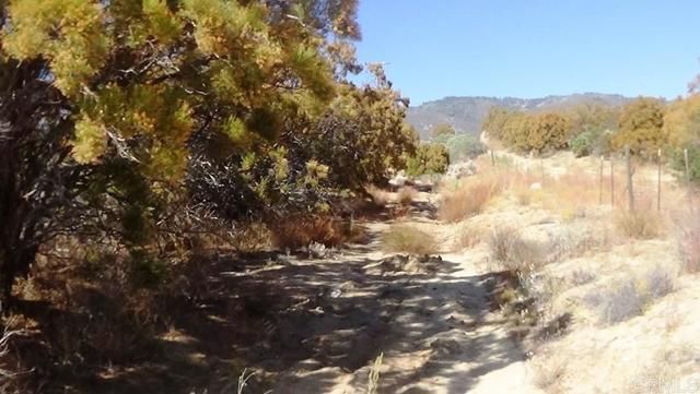 37245 Old Forest Road, Anza, CA 92539