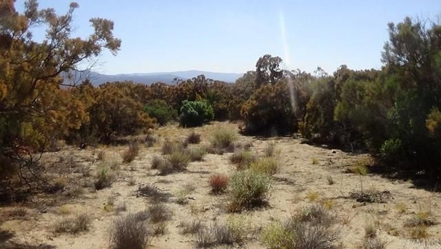 37245 Old Forest Road, Anza, CA 92539
