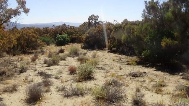 37245 Old Forest Road, Anza, CA 92539