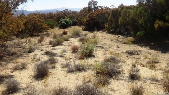 37245 Old Forest Road, Anza, CA 92539