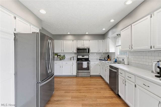 396 E 319 Street, Willowick, OH 44095