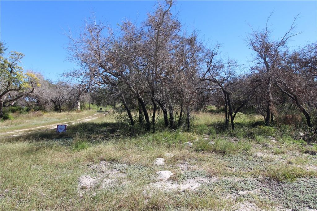 121 Kluge Trail, Rockport, TX 78382 — photo 2