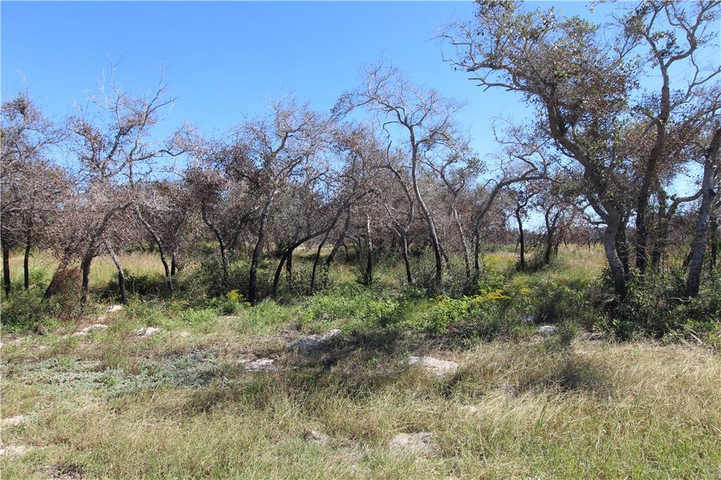 121 Kluge Trail, Rockport, TX 78382 — photo 3