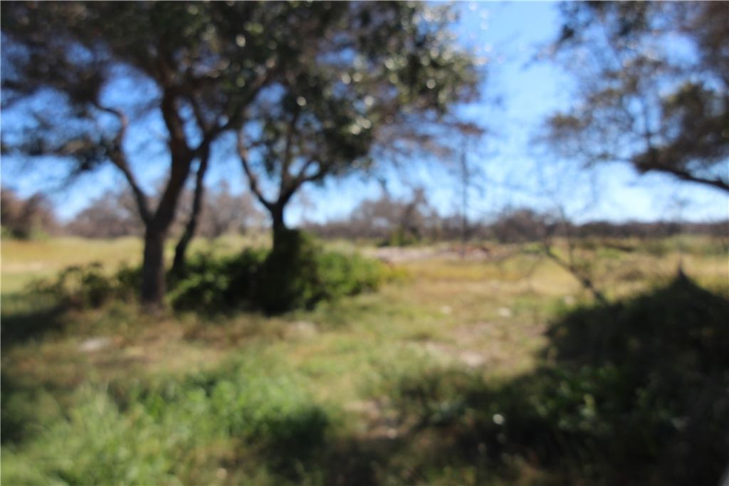 121 Kluge Trail, Rockport, TX 78382 — photo 4